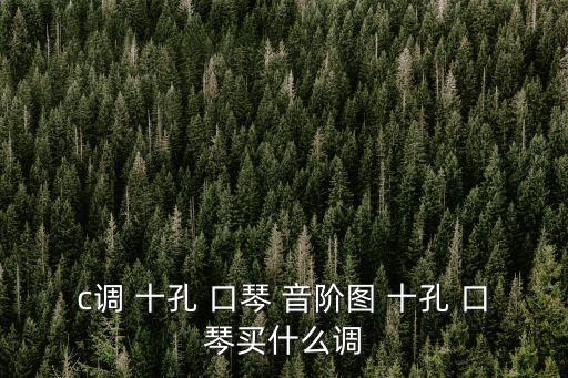 c調 十孔 口琴 音階圖 十孔 口琴買什么調