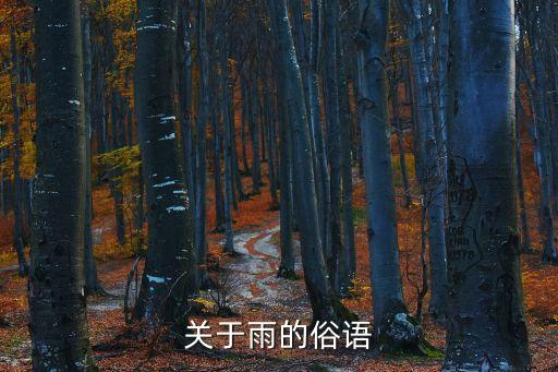 關(guān)于雨的俗語(yǔ)