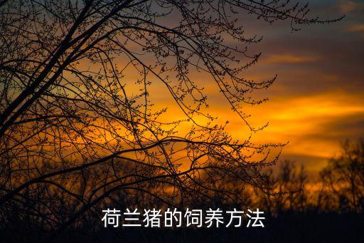 荷蘭豬怎么養,籠養要求最低配置:一個標準籠(內要配小寵物墊