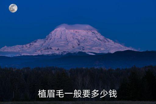 植眉毛價格表，植眉毛價格表有沒有知道詳細的
