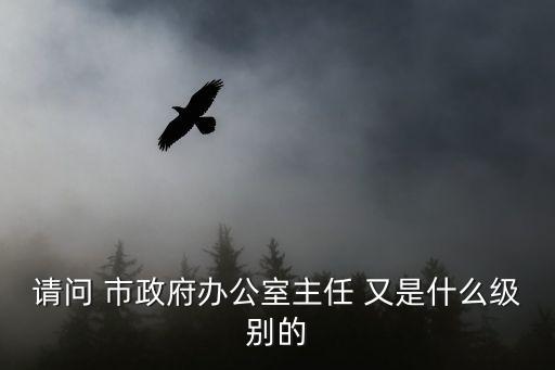 市政府辦公室主任，長沙市市政府辦公室主任是正處級(jí)還是副廳級(jí)