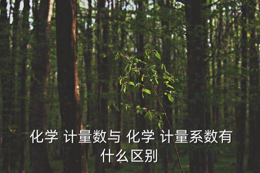 化學計量數是什么,化學計量在這里其實就是方程的平衡