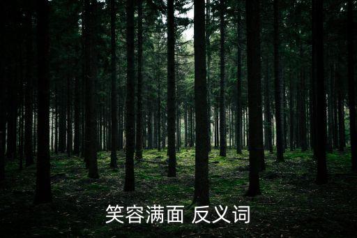 笑容滿面 反義詞