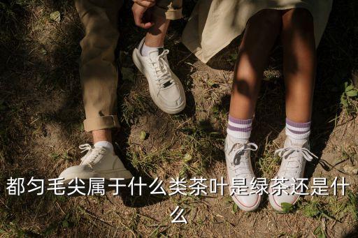 毛尖屬于什么茶，毛尖屬于什么茶