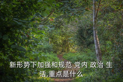 黨內(nèi)政治生活,高級(jí)干部必須以身作則嚴(yán)守政治紀(jì)律和政治規(guī)則