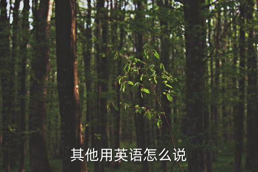 其他英文怎么說(shuō)，其他 的英文是什么