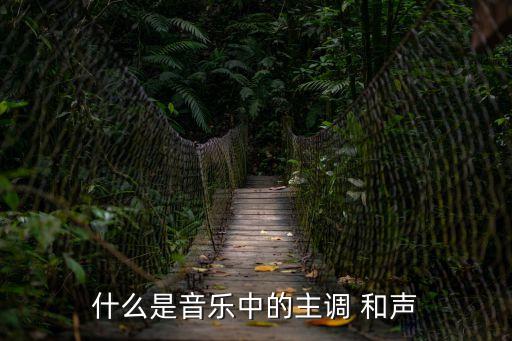 和聲功能,第二集:和聲進行和弦的順序連接