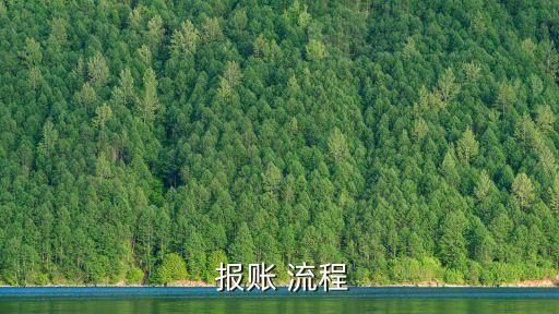 報賬流程,報銷借款收錢應(yīng)分別填寫明細賬