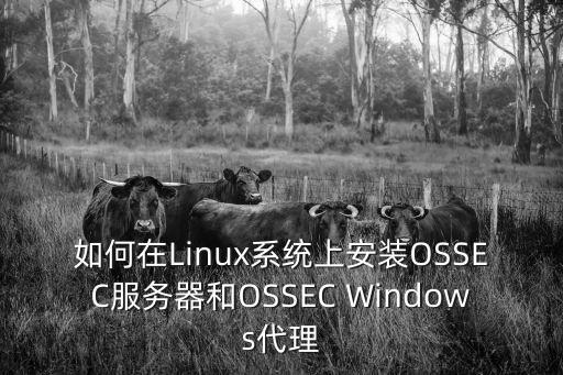 ossec，ossec默認能連接多少agent
