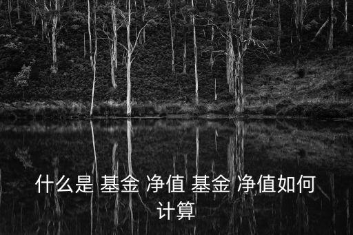 基金凈值是什么,基金凈值不是投資依據但成長性是關鍵