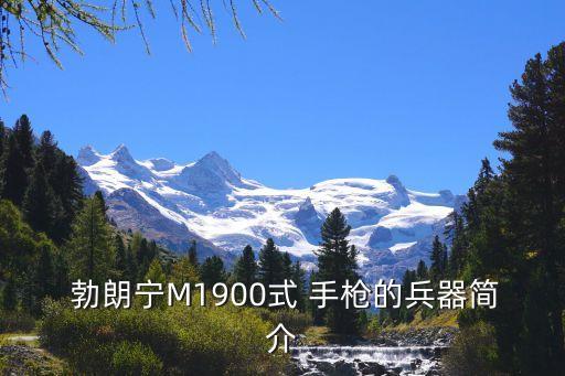 勃朗寧M1900式 手槍的兵器簡介