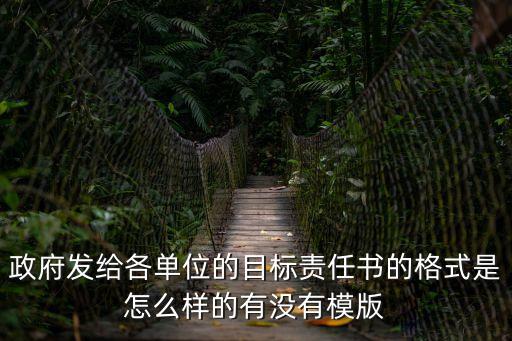 政府發(fā)給各單位的目標(biāo)責(zé)任書的格式是怎么樣的有沒有模版