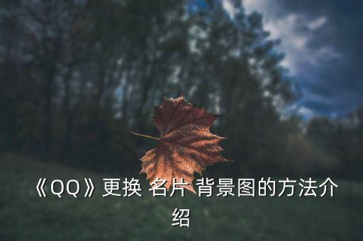 qq名片背景圖,如何進入個人資料名片背景?