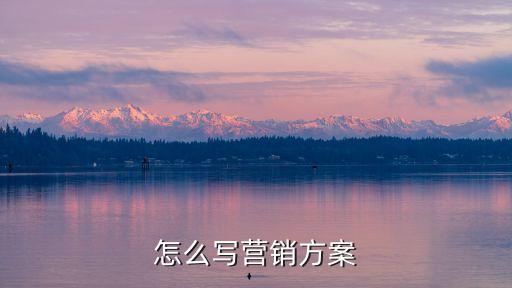 怎么寫營銷方案