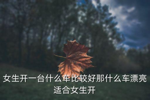 女生開一臺什么車比較好那什么車漂亮適合女生開