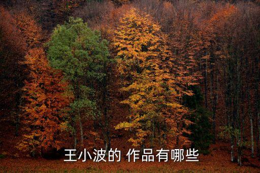 王小波作品,《唐朝秘史》第二集:時代三部曲