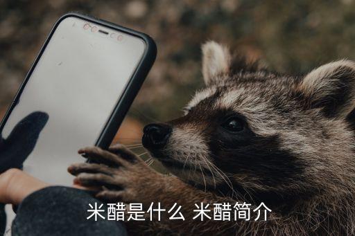  米醋是什么 米醋簡(jiǎn)介