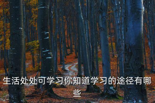 學習的途徑有哪些，學習的途徑是什么