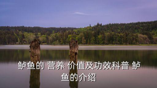 鱸魚(yú)的營(yíng)養(yǎng)價(jià)值及功效,清蒸鱸魚(yú)魚(yú)肉嫩如豆腐鮮如蟹