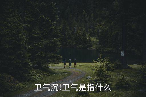 衛(wèi)氣虛,五臟六腑之氣皆源于元氣腎氣虛主要癥狀