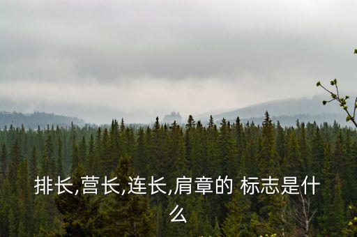 軍銜標志,有一定功勛士兵退役后有權穿著帶有軍銜標志軍服