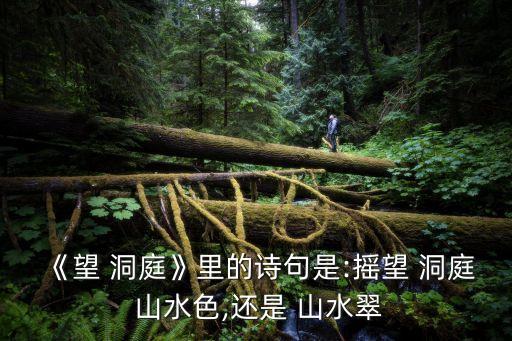《望 洞庭》里的詩句是:搖望 洞庭 山水色,還是 山水翠
