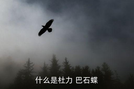 杜立巴石碟,中國西部高原神秘石盤藏有外星生命神秘文字