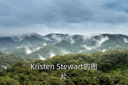 庫拉索蘆薈圖片，庫拉索蘆薈圖片