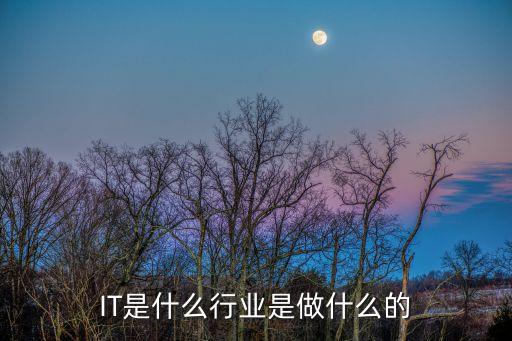 IT是什么行業是做什么的