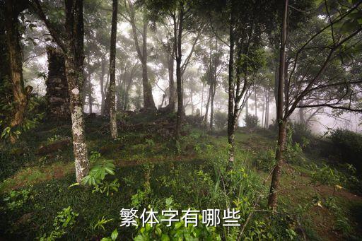 繁字體,子字是繼承字不是簡體字!