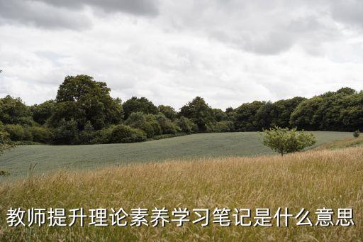 理論學(xué)習(xí)筆記，教師提升理論素養(yǎng)學(xué)習(xí)筆記是什么意思