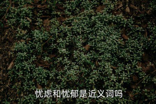  憂慮和憂郁是近義詞嗎