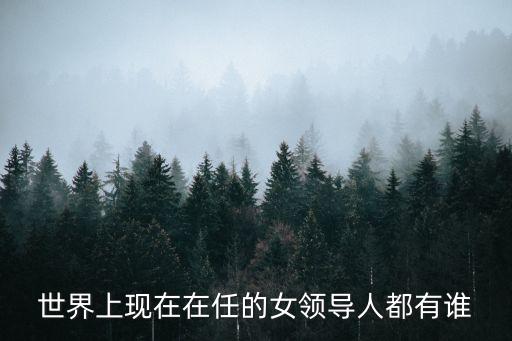 巴西女總統,六女總統包括菲律賓總統和愛爾蘭總統
