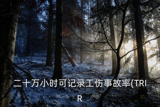 二十萬小時(shí)可記錄工傷事故率(TRIR