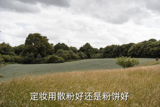 散粉和粉餅哪個定妝效果好，定妝用散粉好還是粉餅好