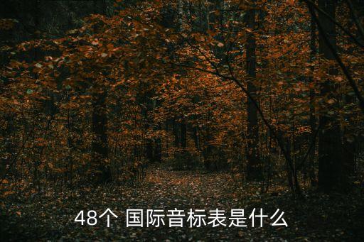 48個(gè) 國(guó)際音標(biāo)表是什么