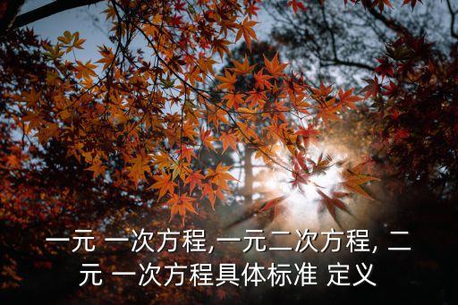 一元 一次方程,一元二次方程, 二元 一次方程具體標(biāo)準(zhǔn) 定義
