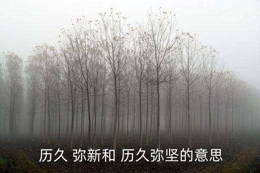  歷久 彌新和 歷久彌堅(jiān)的意思