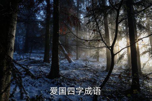 愛國四字成語
