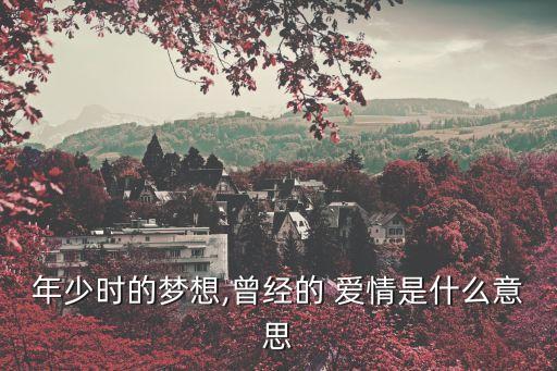 曾經(jīng)的愛情,堅持下去勇敢追她