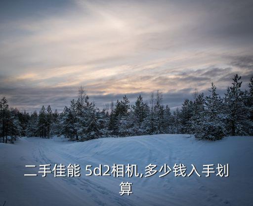 二手佳能 5d2相機,多少錢入手劃算