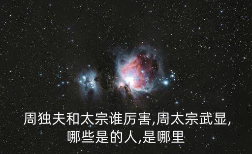  周獨(dú)夫和太宗誰(shuí)厲害,周太宗武顯,哪些是的人,是哪里