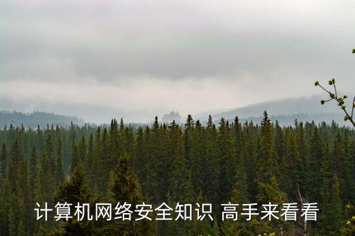 計算機網絡安全知識 高手來看看