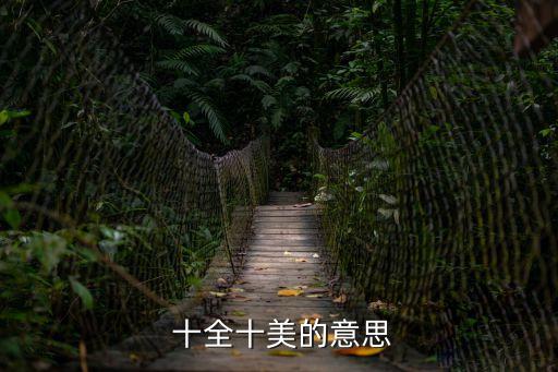  十全十美的意思