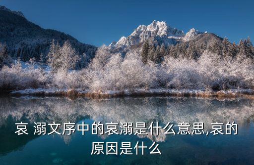 哀溺文,【柳宗元貶時弊》第二集:一起來看看這位溺水者