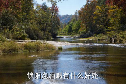 鎖陽泡酒的功效，鎖陽泡酒喝有什么好處