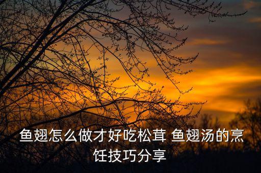  魚(yú)翅怎么做才好吃松茸 魚(yú)翅湯的烹飪技巧分享