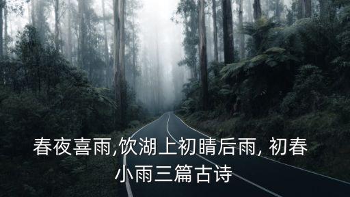 春夜喜雨,飲湖上初睛后雨, 初春 小雨三篇古詩(shī)