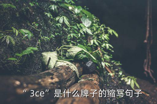3ce是什么牌子,韓國(guó)女裝品牌3ce熱銷中國(guó)市場(chǎng)上