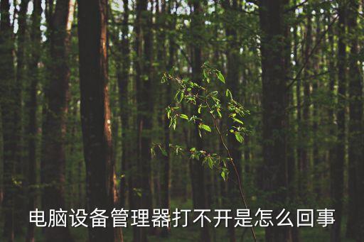 設(shè)備管理器打不開，電腦設(shè)備管理器打不開是怎么回事